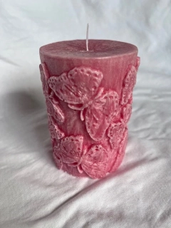 Motýlci - červená